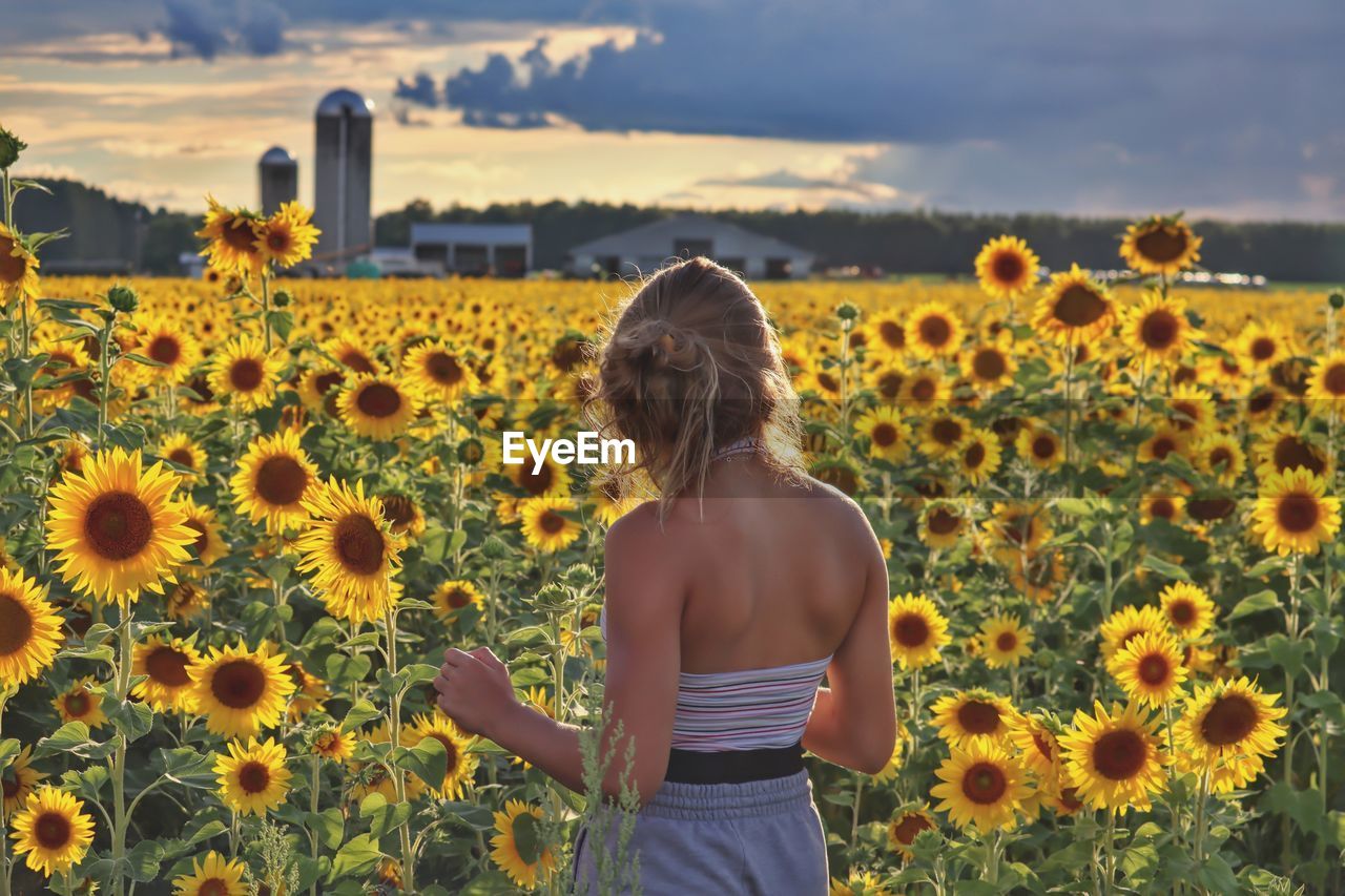 Rear view of woman standing on sunflower field
