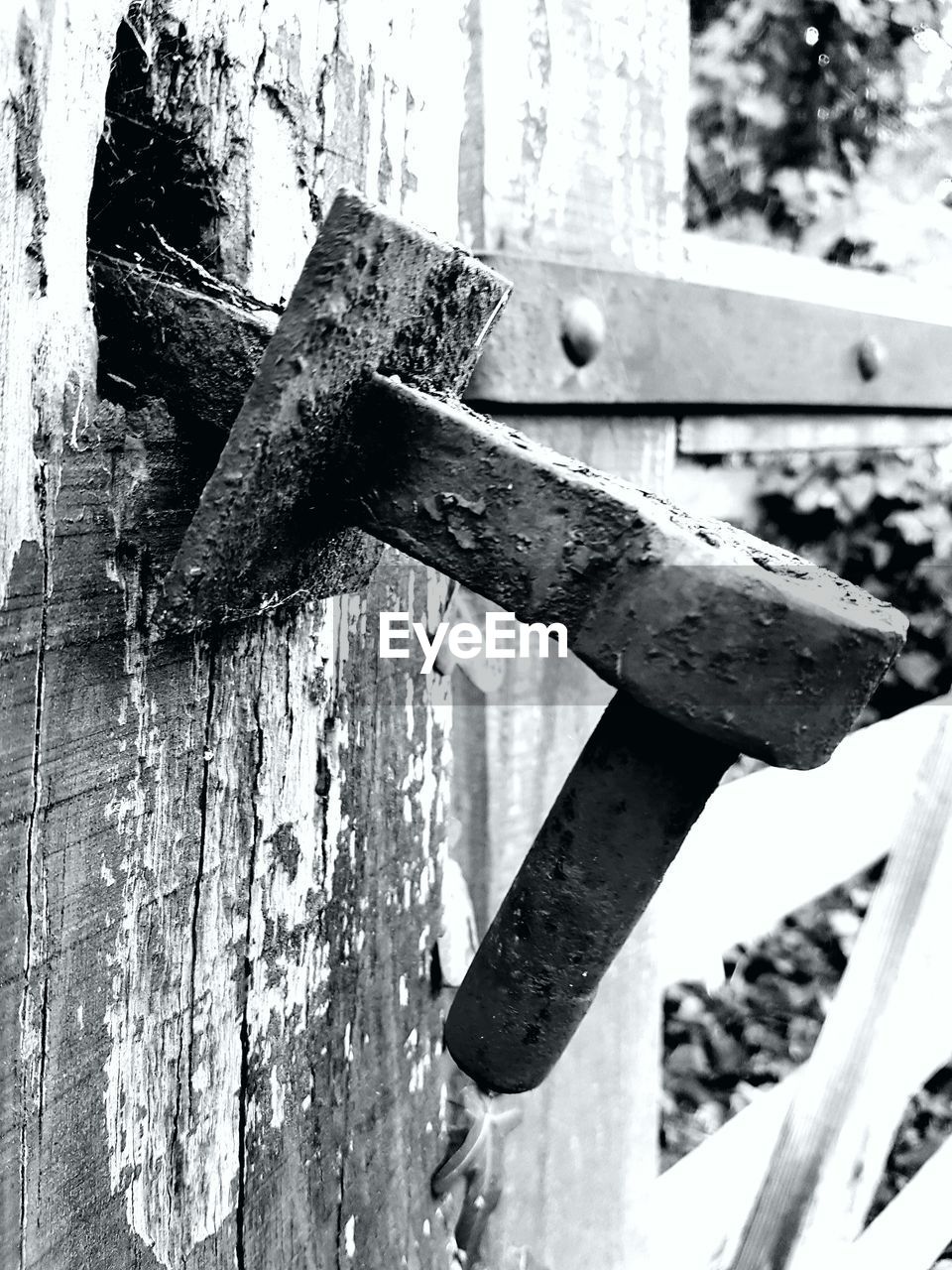 CLOSE-UP OF METAL AGAINST TREES