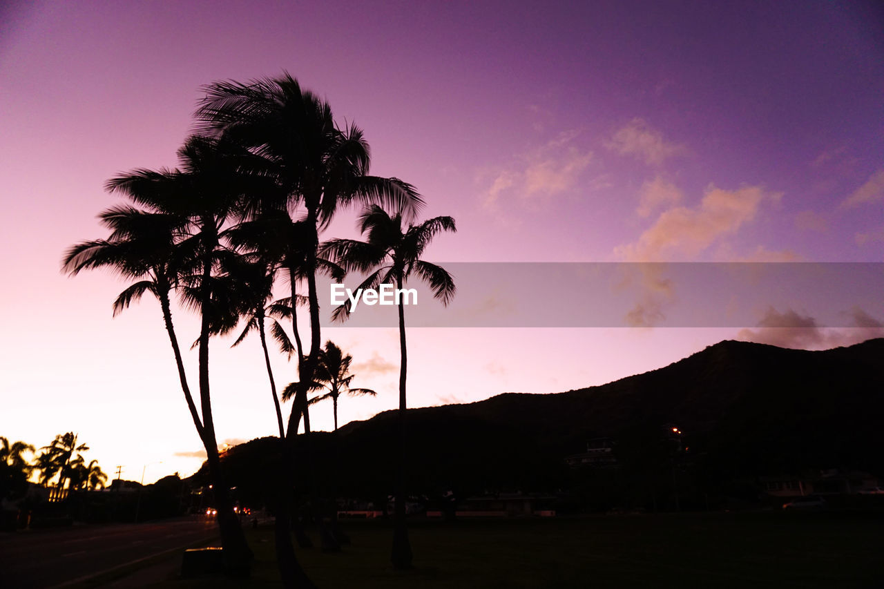 SILHOUETTE PALM TREES AGAINST SKY AT SUNSET