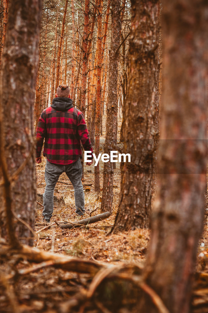 Rear view of man standing by trees in forest