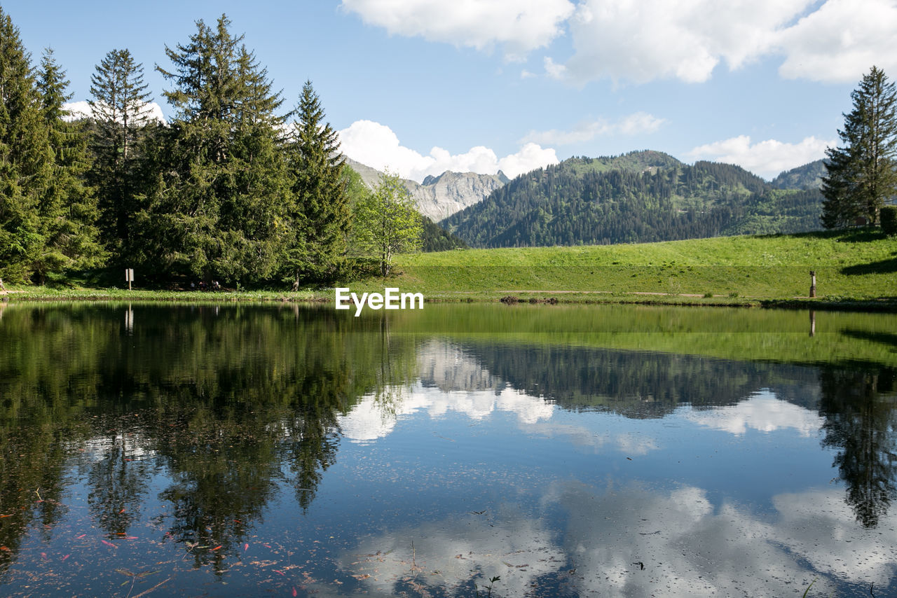 Scenic view of lake by trees against sky