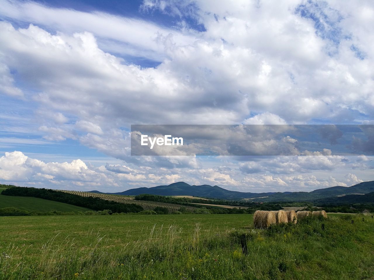 SCENIC VIEW OF FARM AGAINST SKY