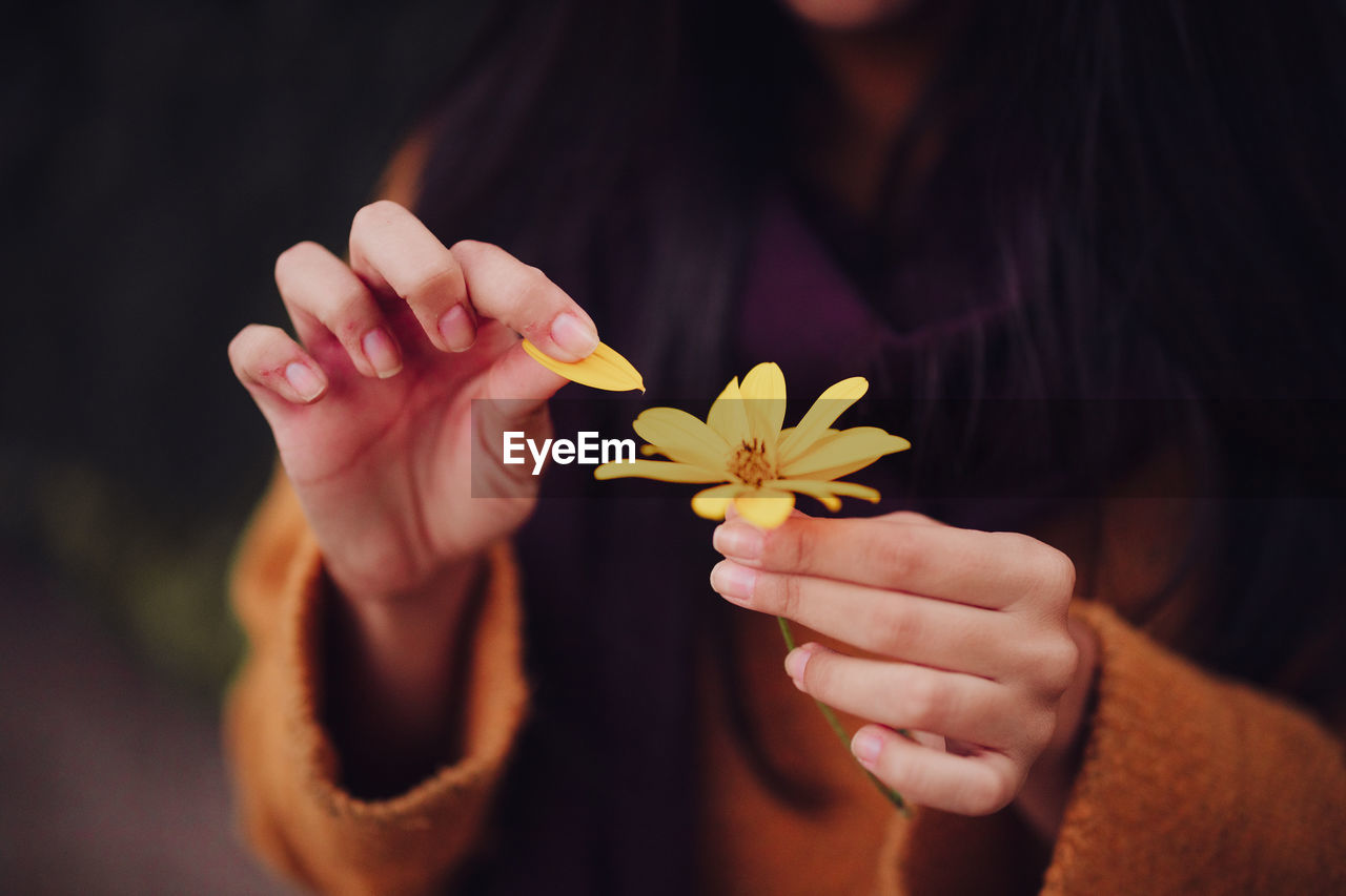 Young woman picks yellow flower petals in the field