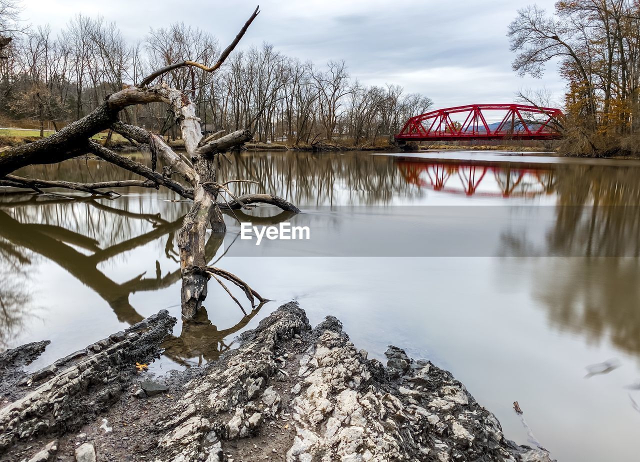 Bare trees by lake during winter