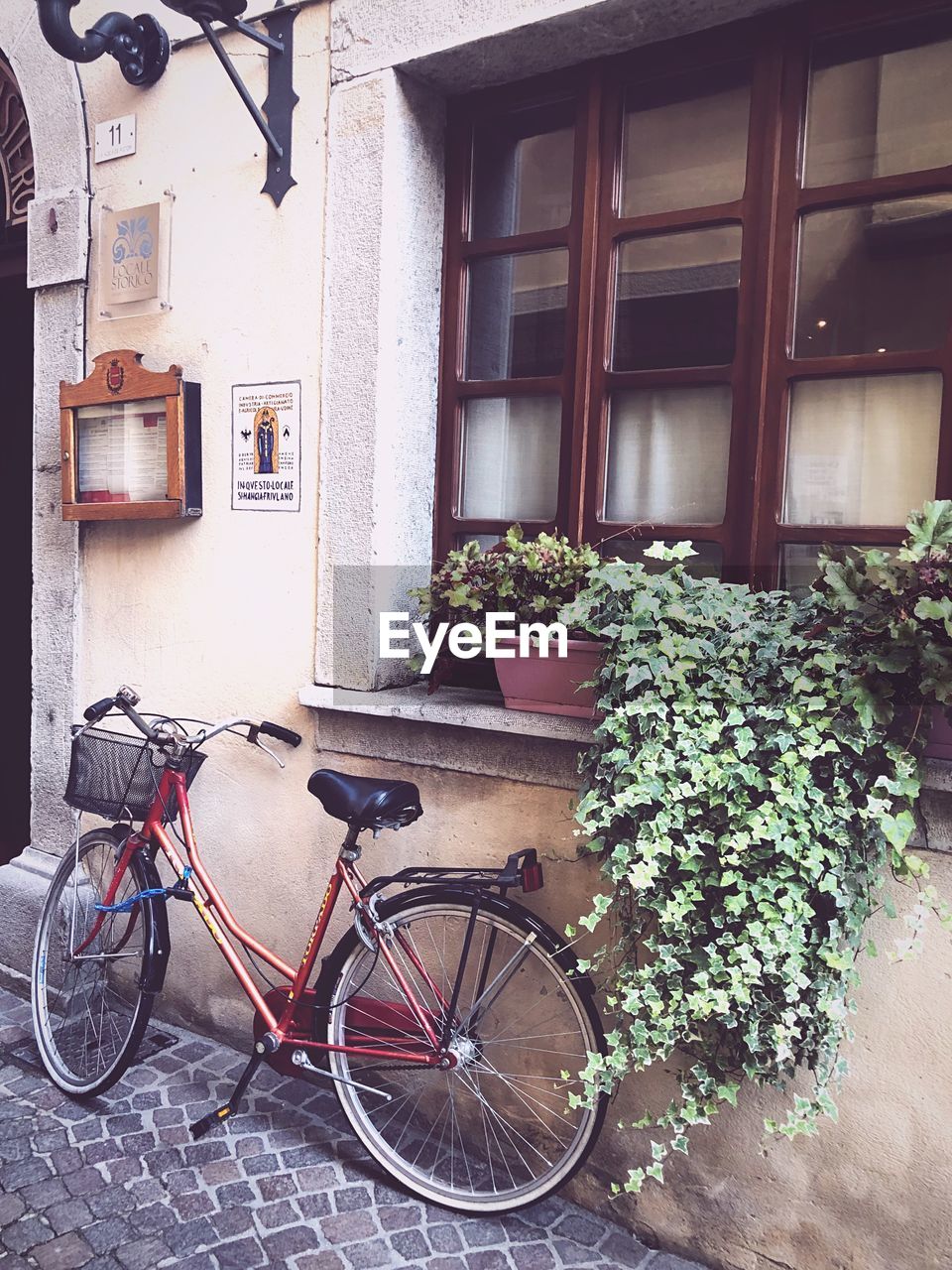 Bicycle by potted plants outside building