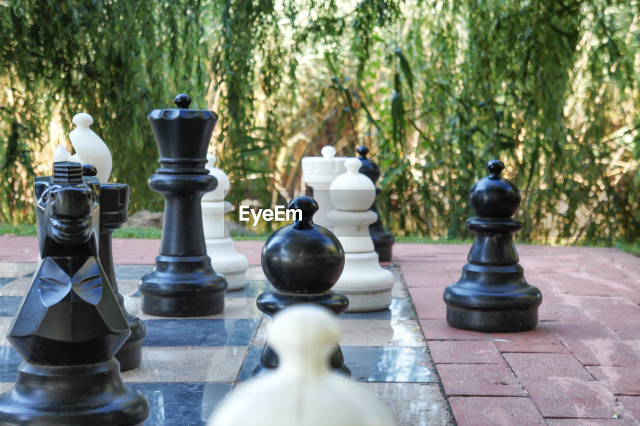 Large chess pieces against plants