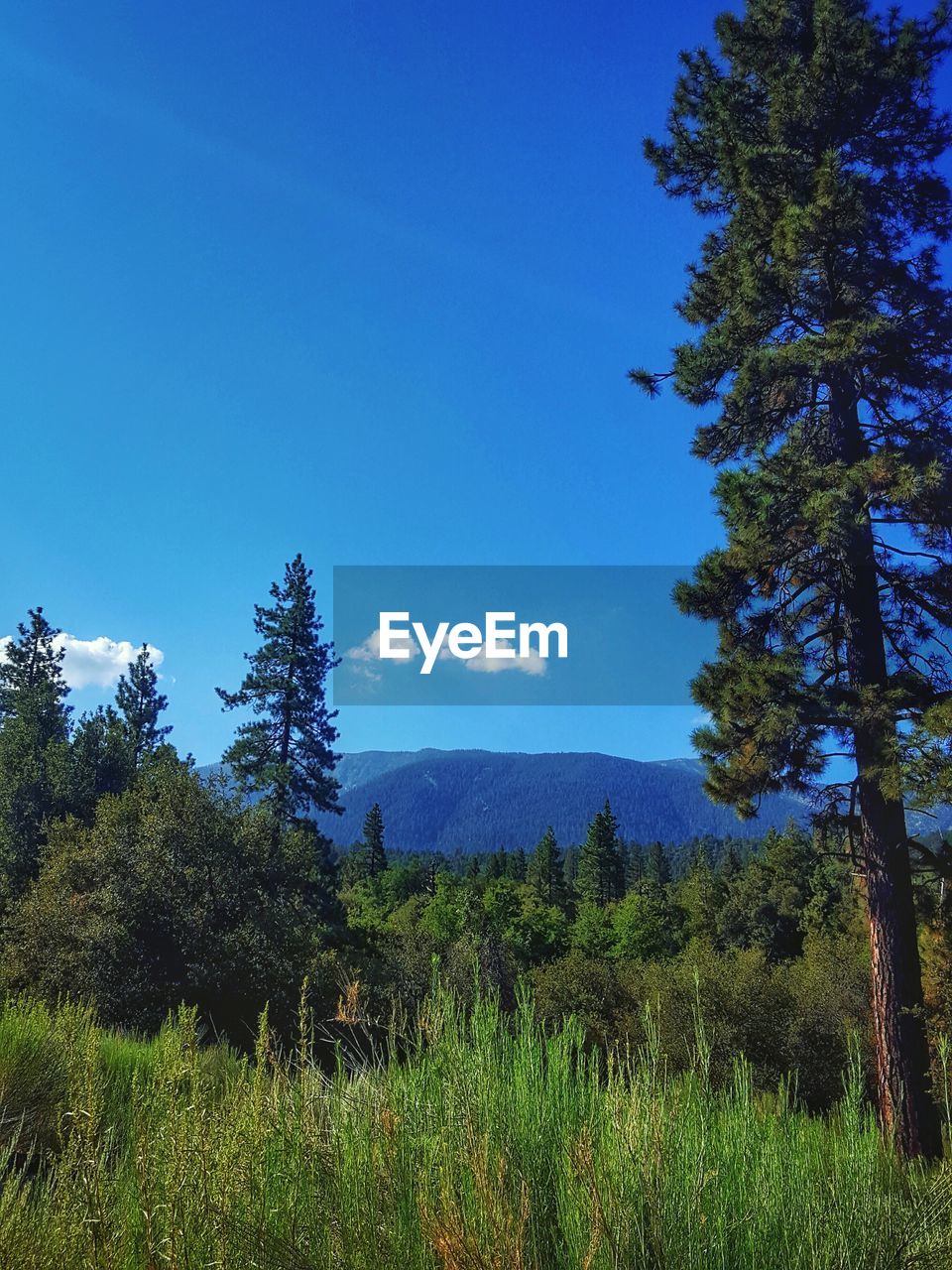 View of landscape against blue sky