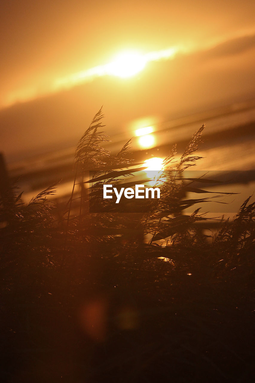 Close-up of sea against sky during sunset