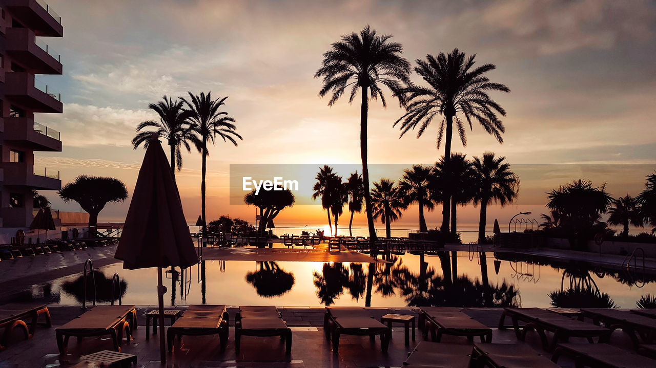 SILHOUETTE PALM TREES BY SWIMMING POOL AGAINST SKY