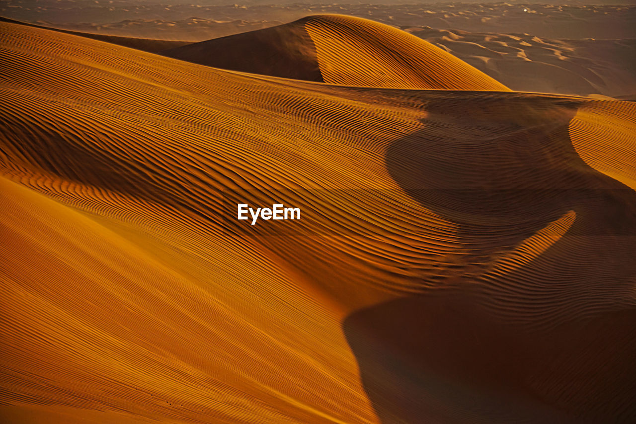 Scenic view of desert