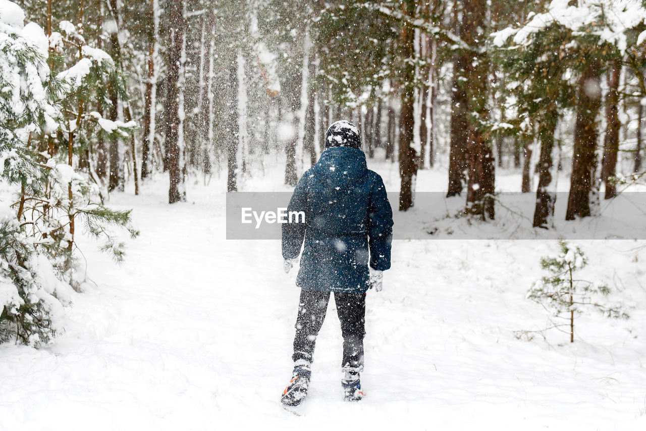 Back view of child boy in winter forest in snowstorm. actively spending time outdoors. winter snowy 