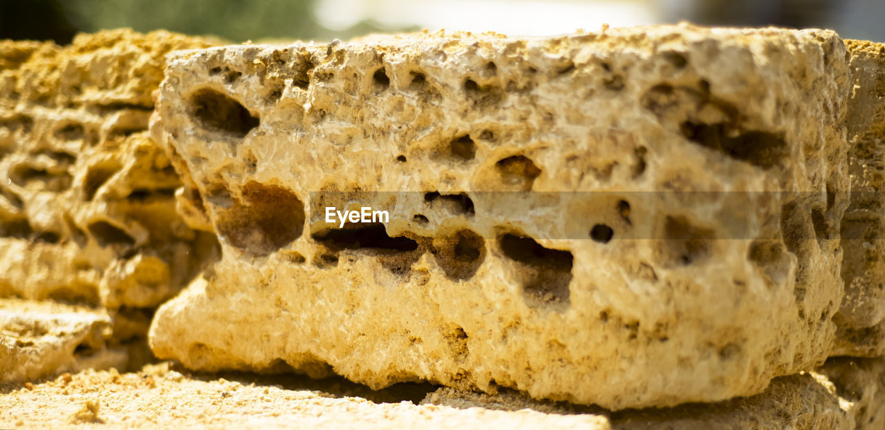 The porous structure of shell rock bricks. close-up. texture. natural building material.