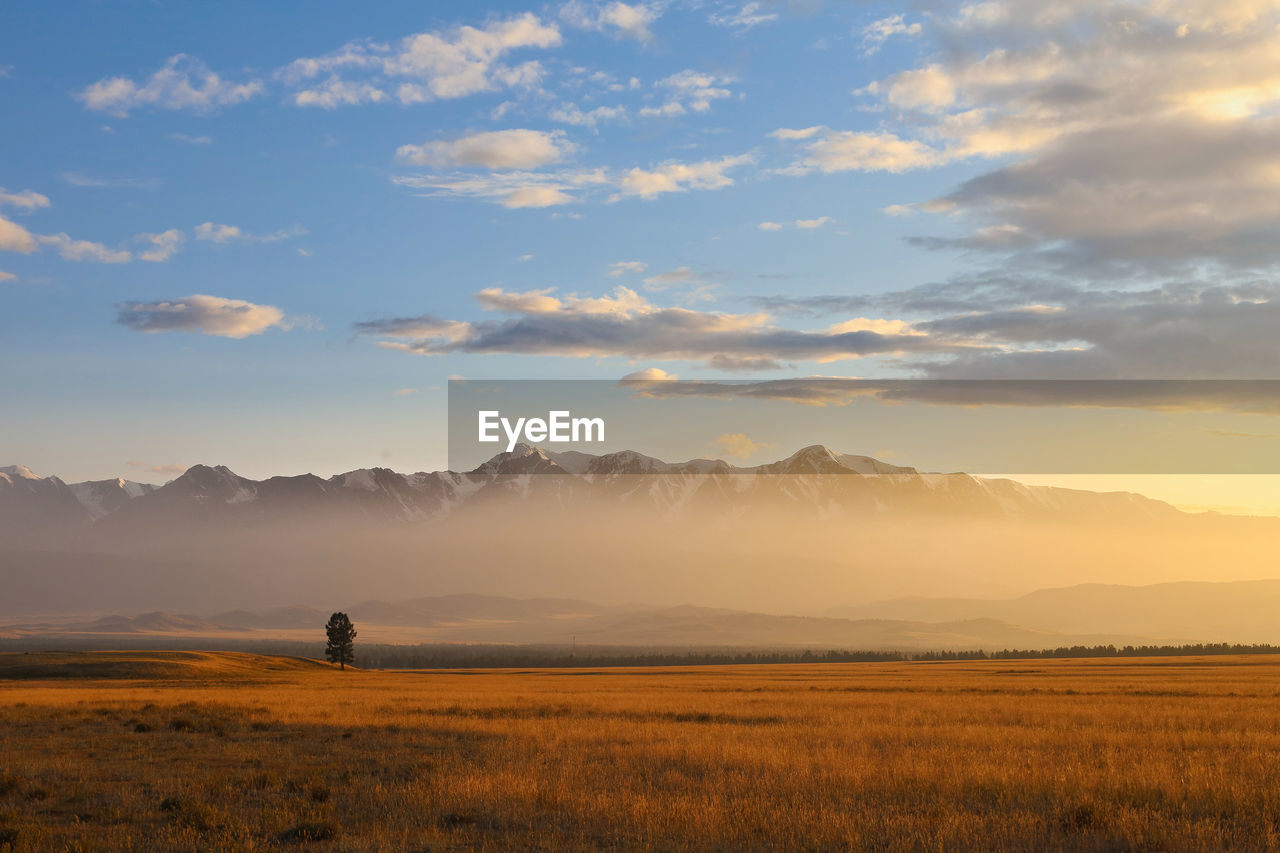 horizon, landscape, sky, environment, plain, grassland, morning, natural environment, steppe, land, scenics - nature, prairie, nature, dawn, cloud, beauty in nature, sunrise, mountain, field, tranquility, plant, rural scene, sunlight, one person, sun, grass, travel, savanna, tranquil scene, outdoors, fog, mountain range, twilight, travel destinations, silhouette, horizon over land, gold, non-urban scene, wilderness, summer, leisure activity, idyllic, plateau, agriculture, rural area, adult, sunbeam, tourism, copy space, day, orange color, full length, remote, animal, standing, back lit, solitude, walking, animal themes