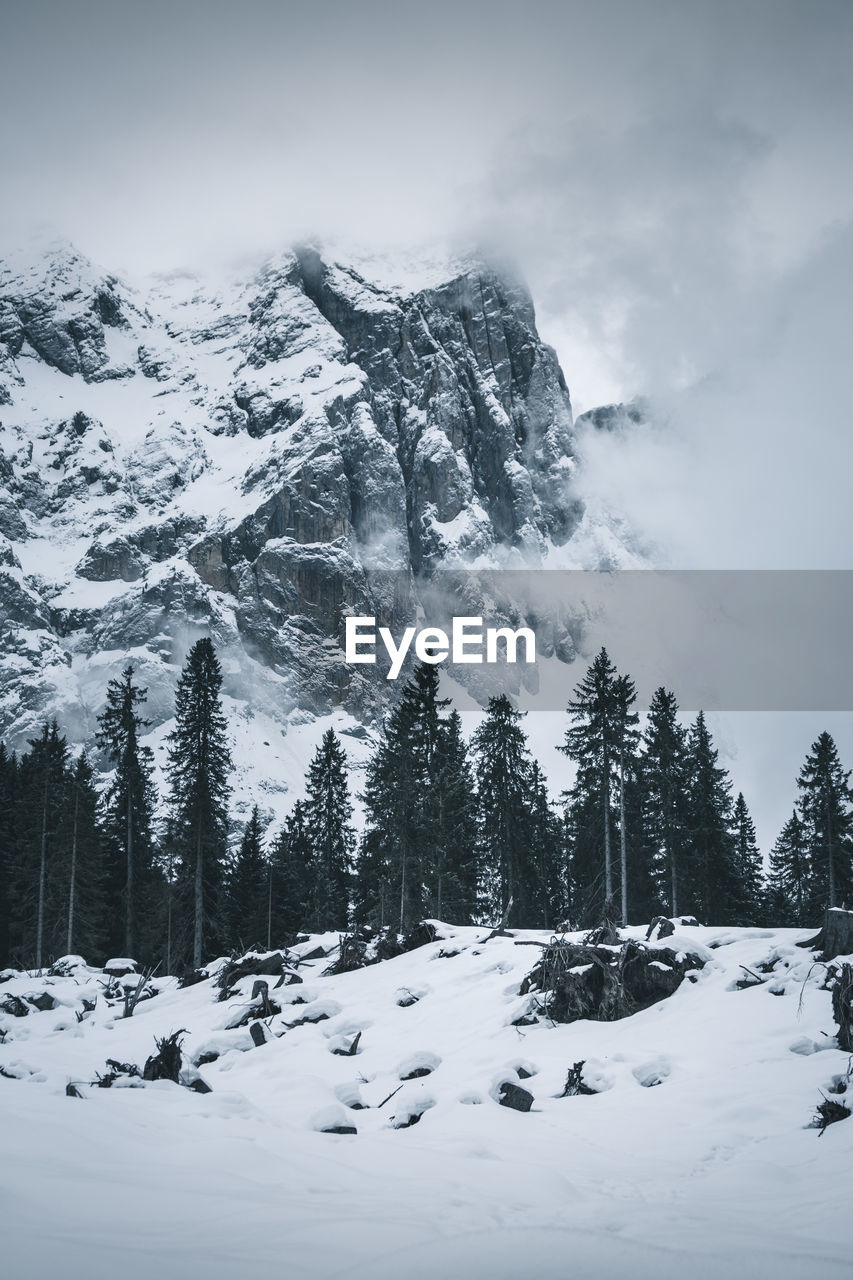 Trees on snow covered mountain against sky