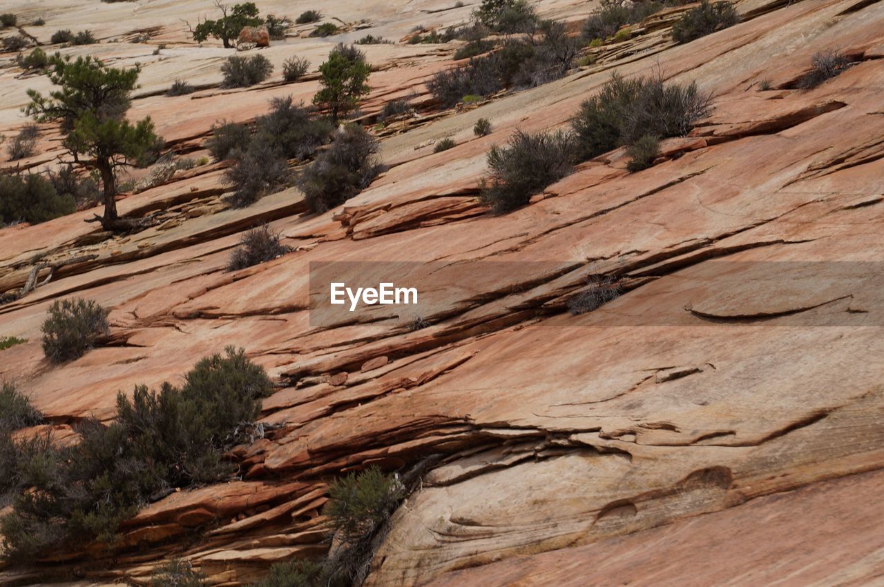 Scenic view of landscape