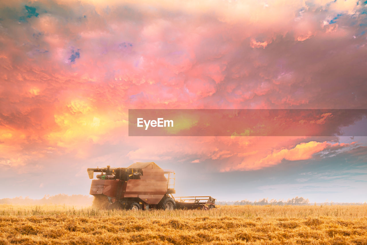 scenic view of field against orange sky