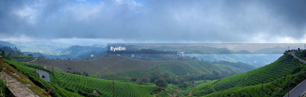 PANORAMIC VIEW OF LANDSCAPE