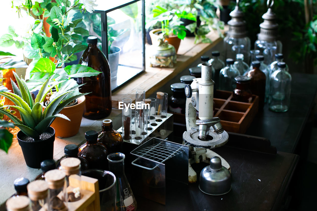 CLOSE-UP OF POTTED PLANTS ON TABLE