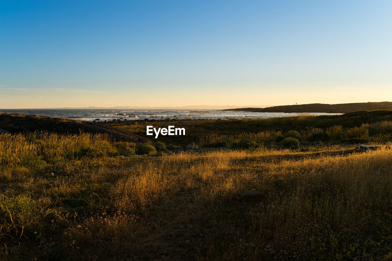 Scenic view of field against sky during sunset