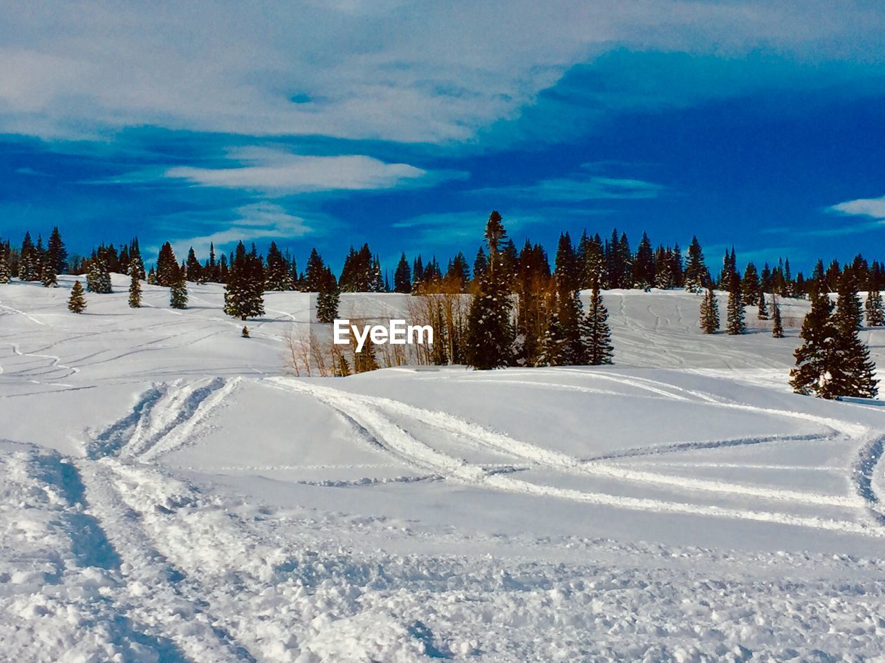 SNOW COVERED LANDSCAPE AGAINST SKY