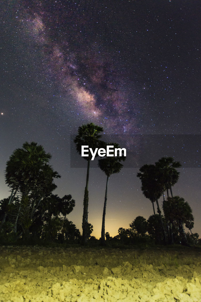 Low angle view of silhouette trees against sky at night