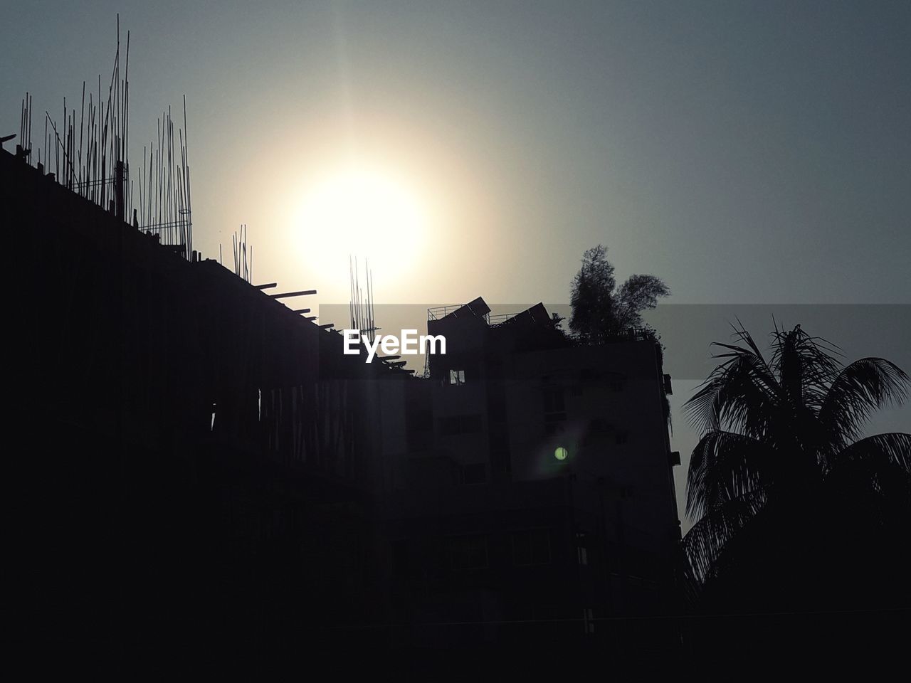 LOW ANGLE VIEW OF SILHOUETTE PALM TREES AGAINST SKY