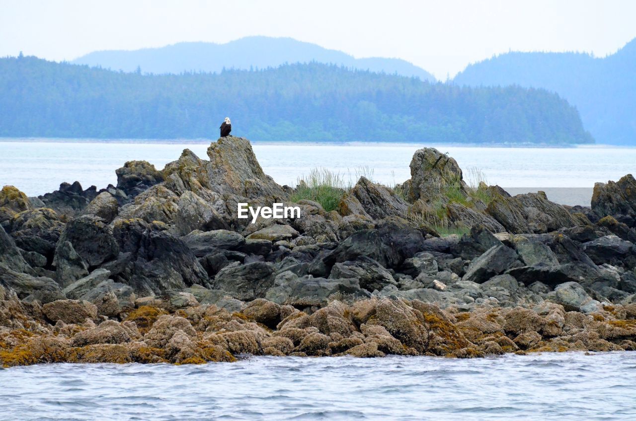 SCENIC VIEW OF ROCKS ON LANDSCAPE