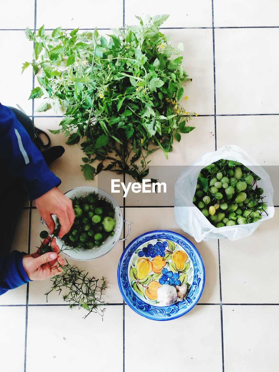 Midsection of woman holding potted plant on table