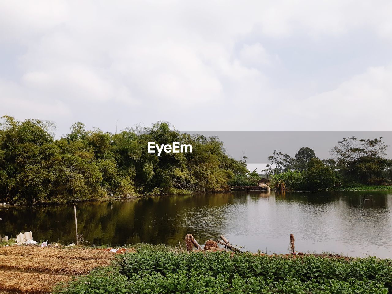 SCENIC VIEW OF LAKE AGAINST TREES