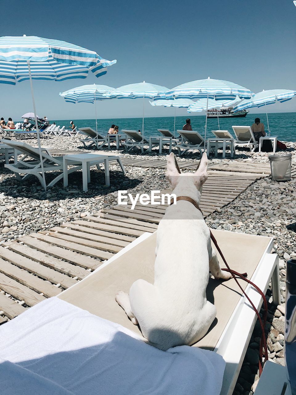 Dog relaxing on lounge chair at sea against sky