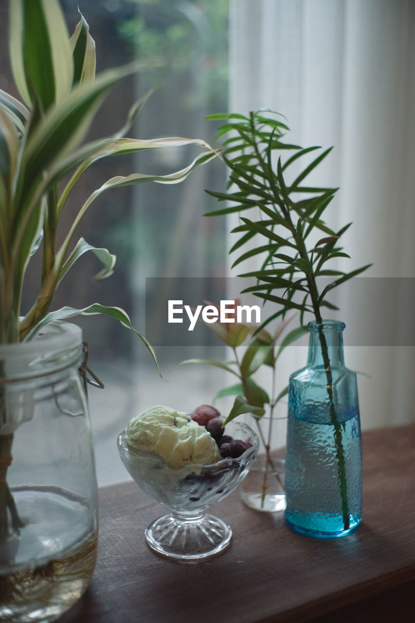 POTTED PLANTS ON TABLE