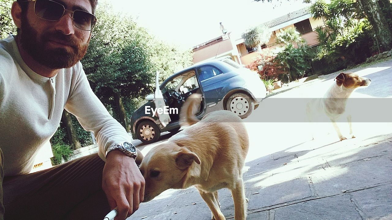 VIEW OF DOG ON STREET