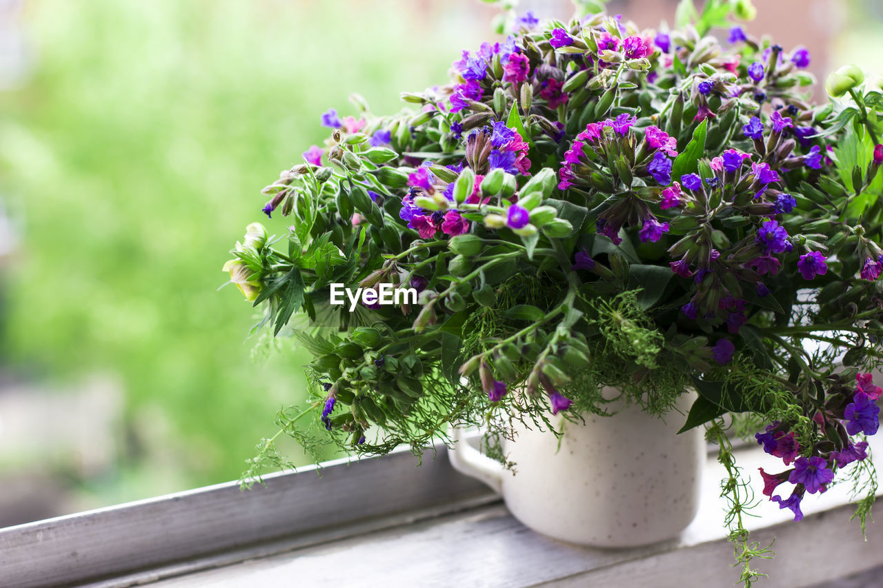 CLOSE-UP OF PURPLE FLOWERING PLANT