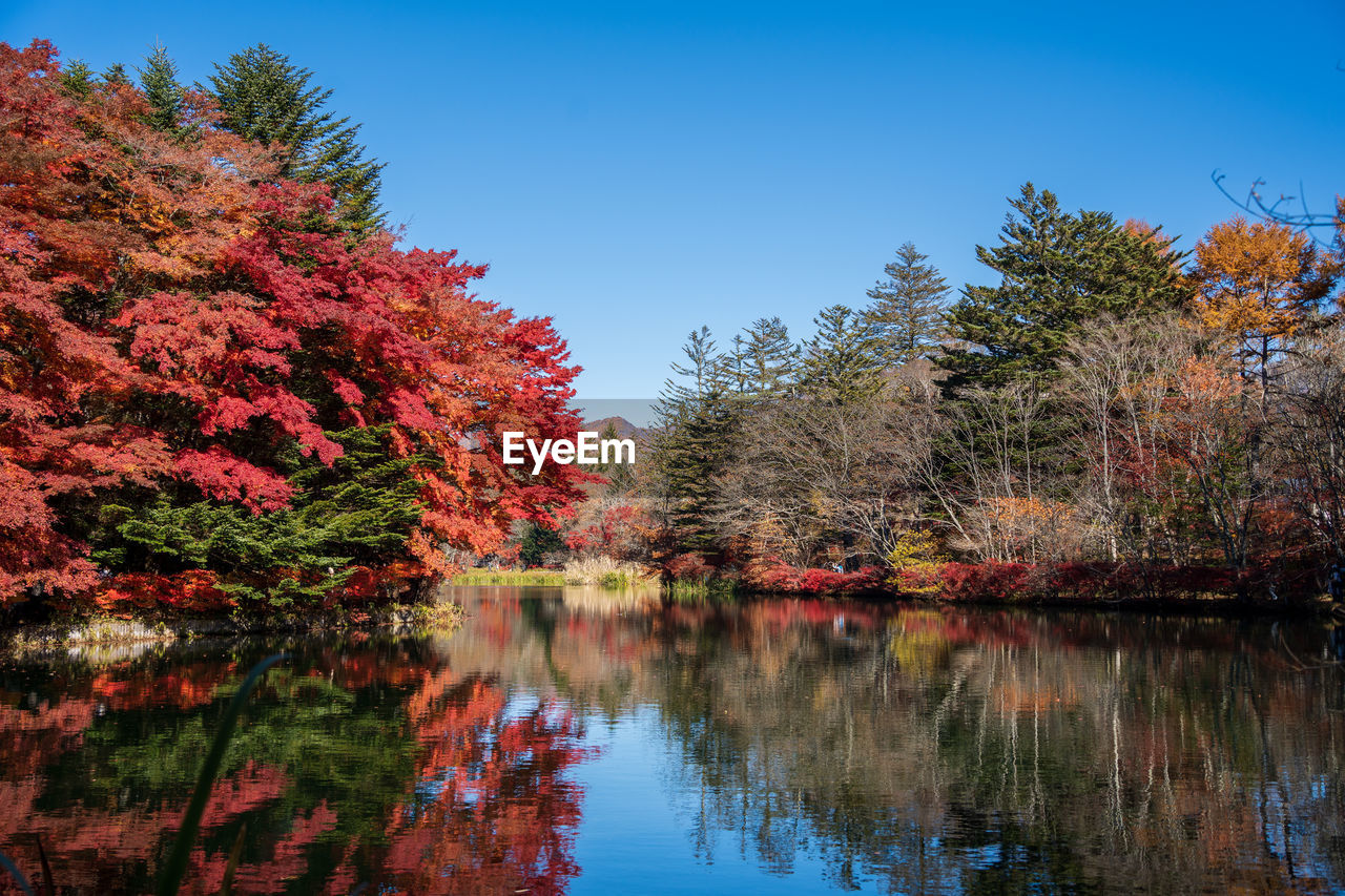 Autumn colors by the lake