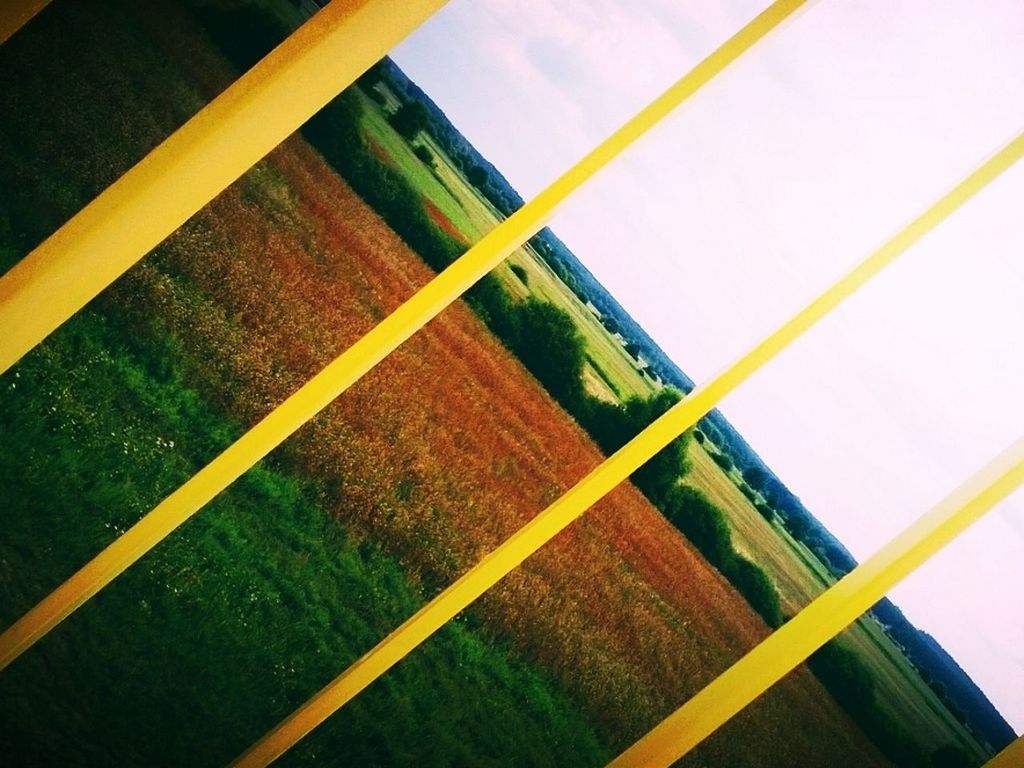 Scenic view of grassy landscape seen through yellow railing