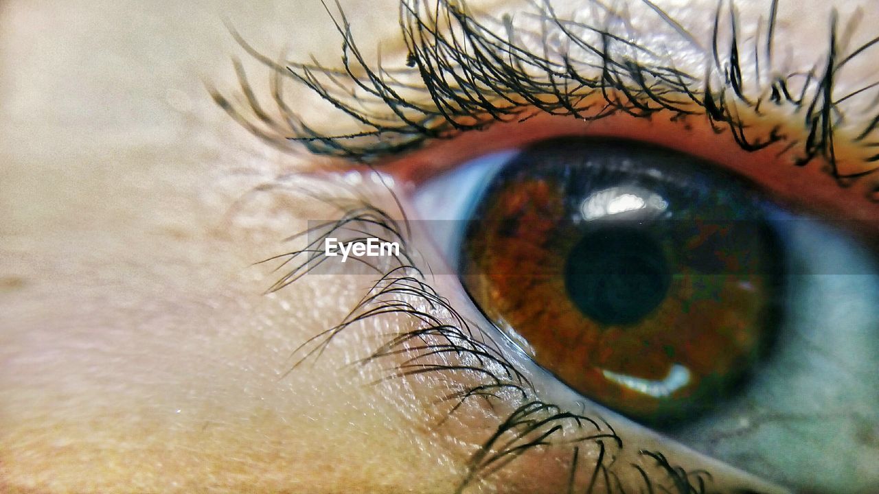 Close-up of human eye