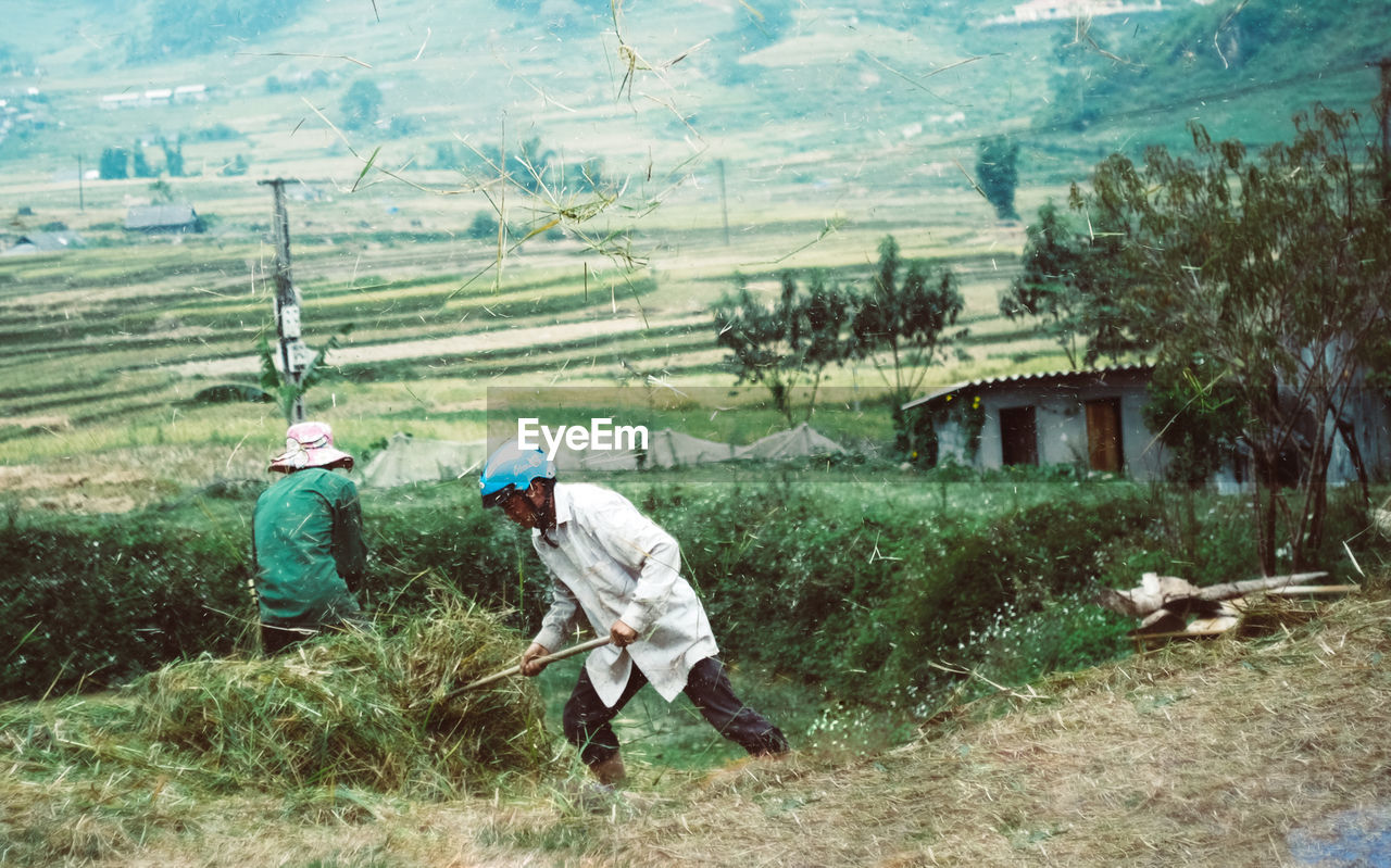 PEOPLE WORKING AT FARM