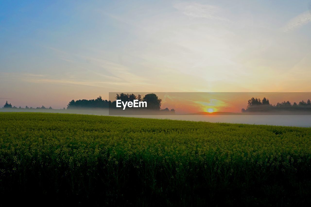 Scenic view of field against sky during sunset