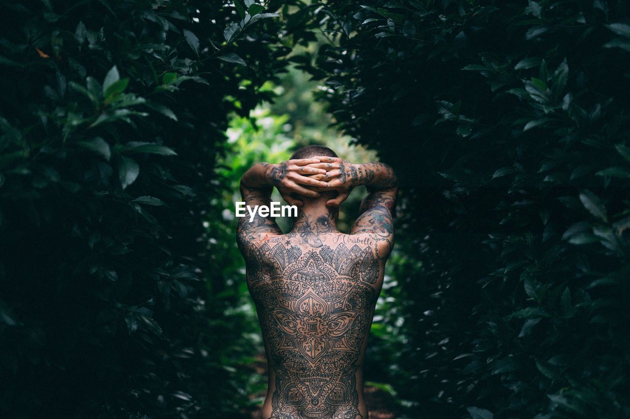 Rear view of shirtless man with tattoo standing amidst plants in forest