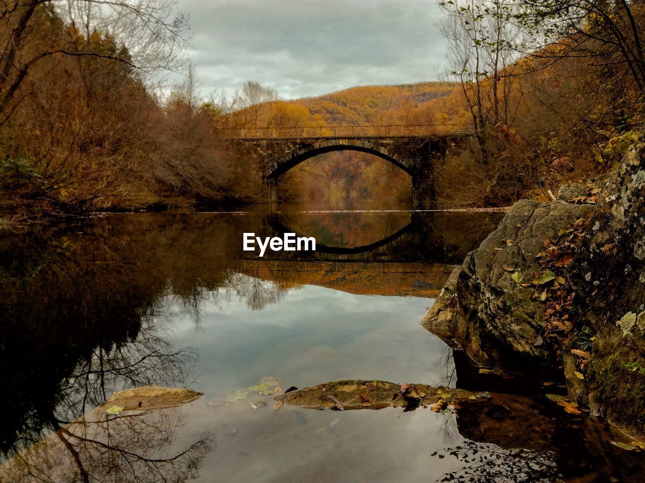 Reflection of trees in water against sky