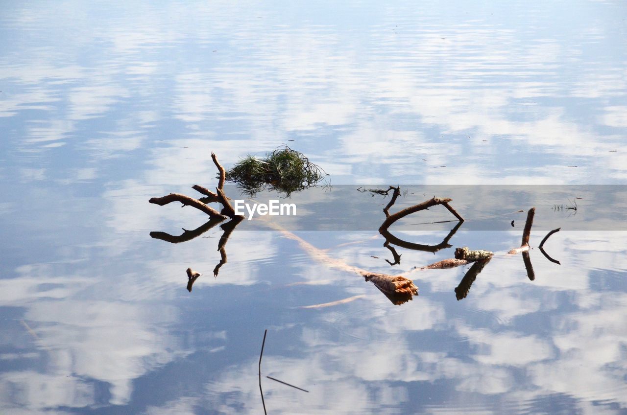 HIGH ANGLE VIEW OF FLYING OVER LAKE