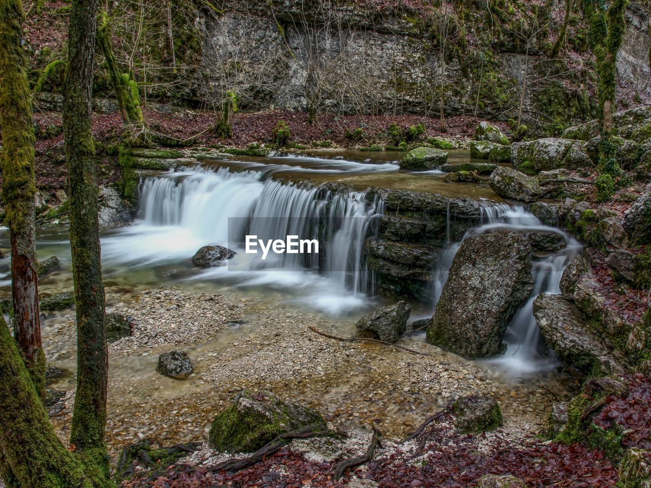 Waterfall at forest