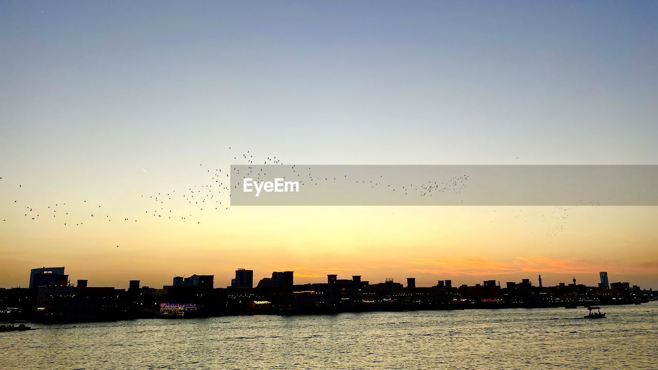 horizon, sky, morning, architecture, dawn, building exterior, city, built structure, skyline, sunrise, water, bird, nature, building, sea, urban skyline, cityscape, landscape, flying, no people, silhouette, animal themes, travel destinations, wildlife, animal, office building exterior, skyscraper, cloud, beauty in nature, outdoors, coast, reflection, afterglow, animal wildlife, flock of birds, large group of animals, sunlight, copy space, sun, scenics - nature, group of animals, city life, waterfront