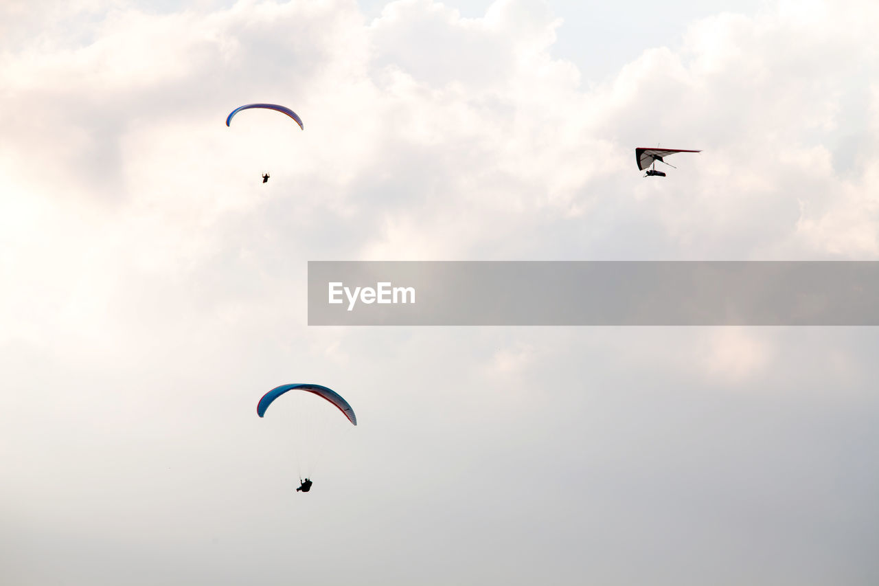 Low angle view of silhouette people paragliding against sky