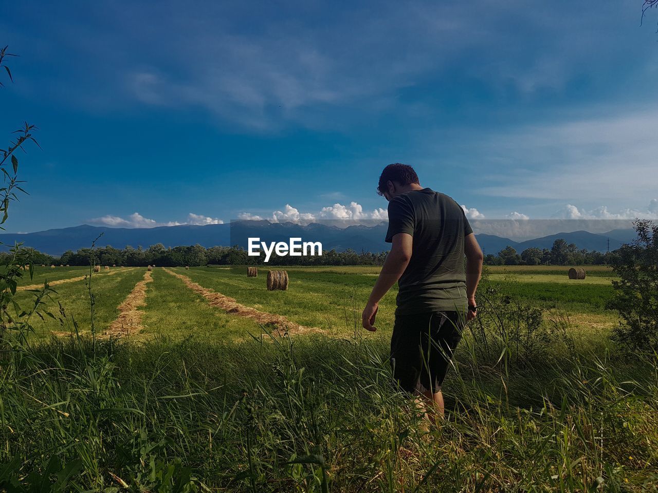 Rear view of man standing by plants in farm against sky