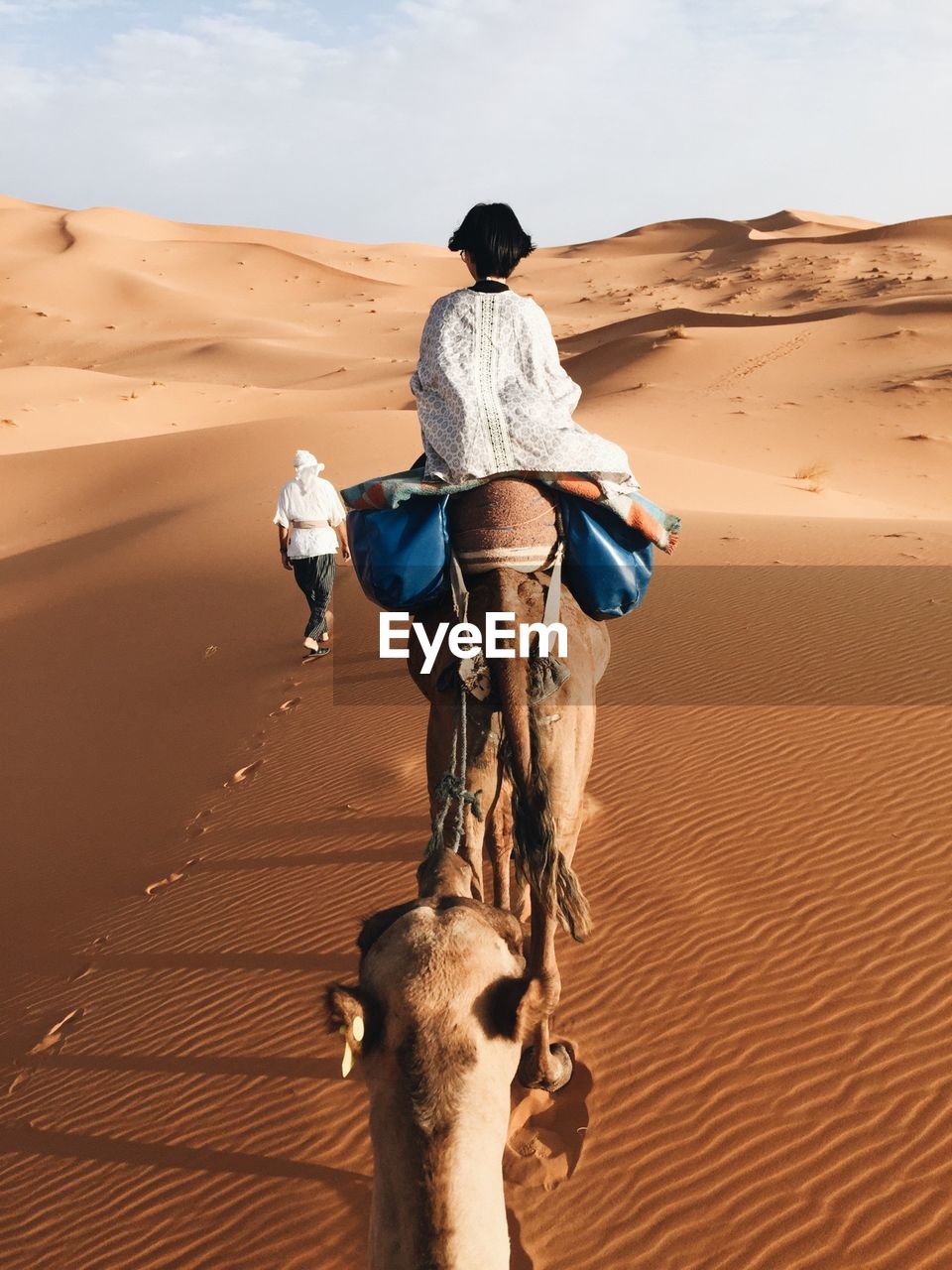 Rear view of woman riding camel at desert