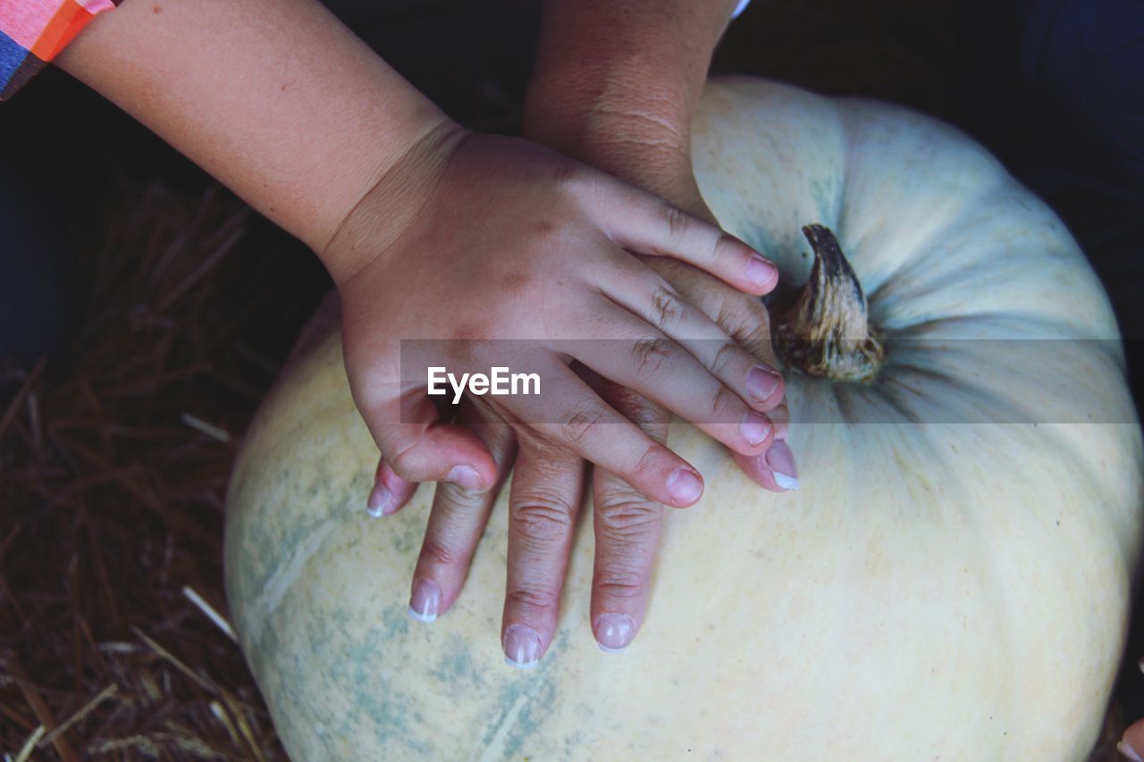 Cropped hands touching pumpkin in field