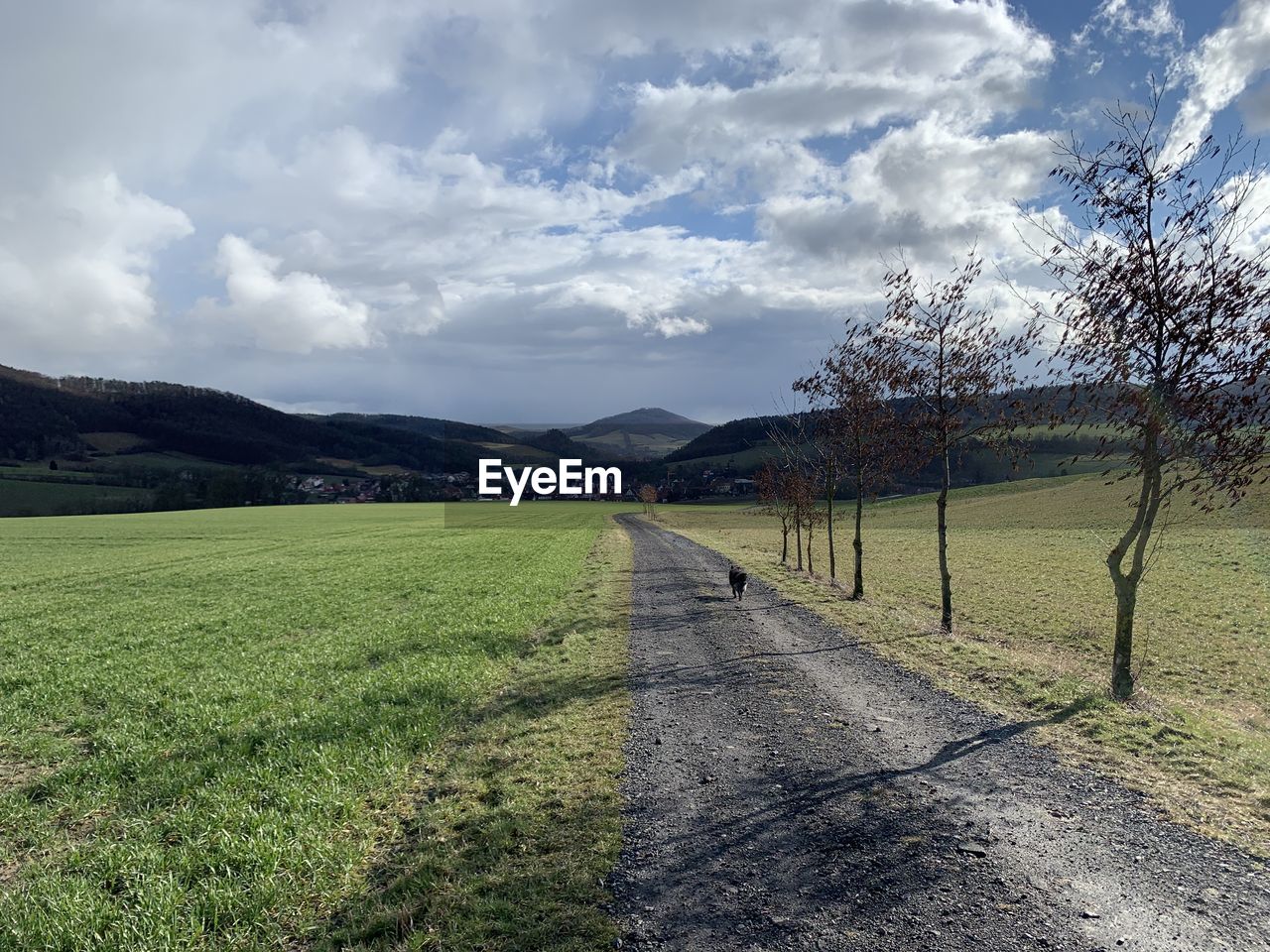 Scenic view of field against sky in eichsfeld, thuringia, germany