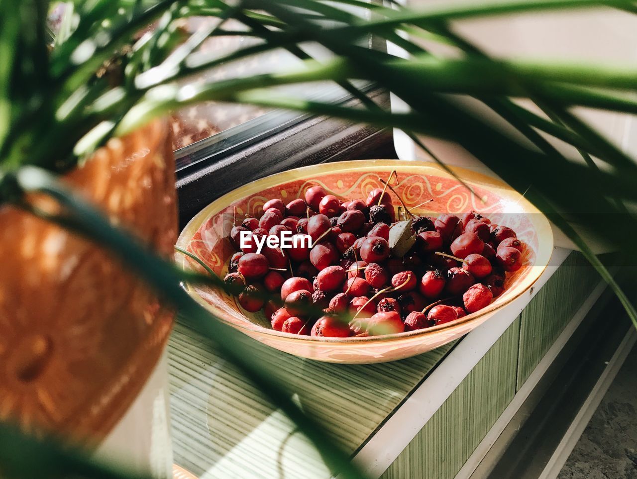 High angle view of berries in plate on window sill