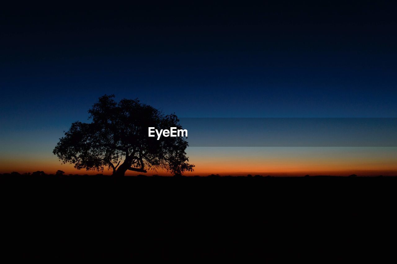 SILHOUETTE TREE ON FIELD AGAINST CLEAR SKY DURING SUNSET